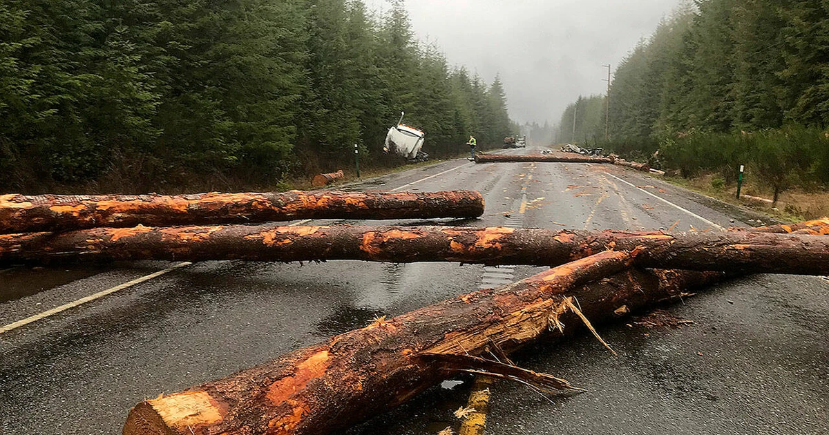 Woman Dies In A Fatal Car Crash With Log Truck
